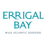 Errigal Bay logo